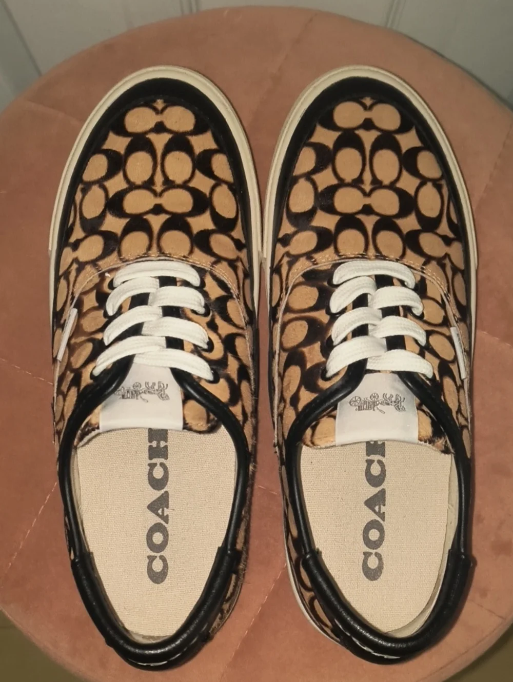 Coach Citysole Skate Sneaker Size 7